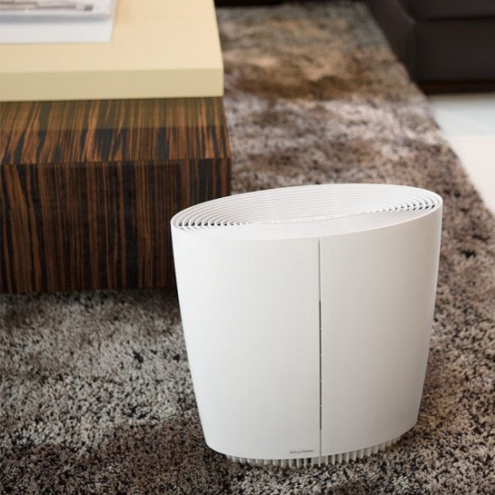 Stylies Pegasus white