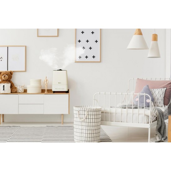 Meaco Mist Deluxe 2020