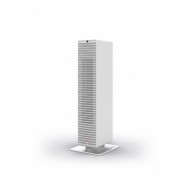 Stadler Form Paul White